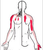 %d7%94%d7%a7%d7%a8%d7%a0%d7%95%d7%aa-%d7%9b%d7%90%d7%91-%d7%a9%d7%a8%d7%99%d7%a8-%d7%94%d7%9e%d7%a2%d7%9c%d7%95%d7%aa